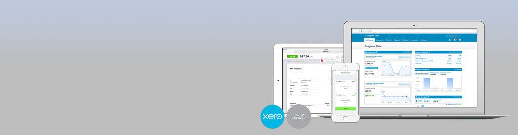 problems with xero accounting software